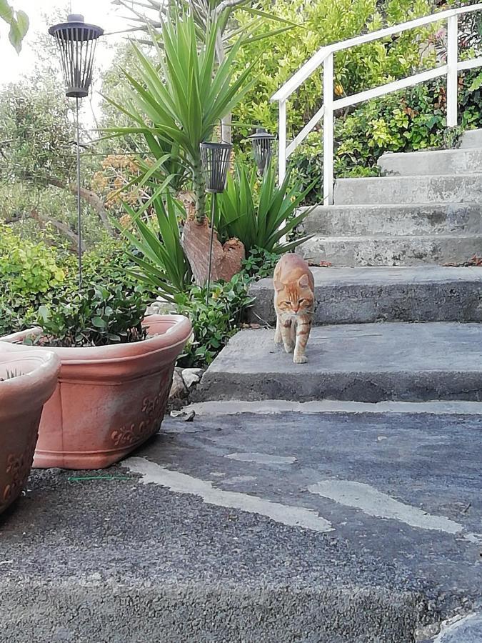 Apartamento U Castiddanu Breathtaking View Taormina Exterior foto