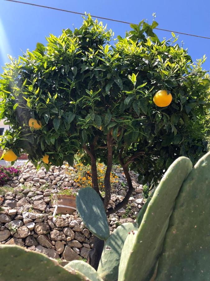 Apartamento U Castiddanu Breathtaking View Taormina Exterior foto